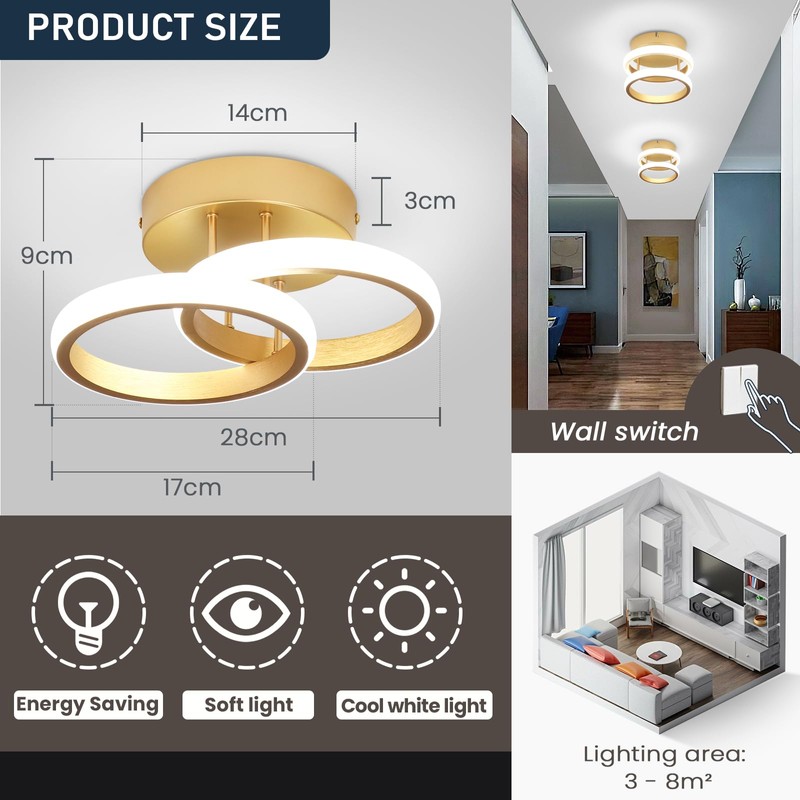 EIDISUNY LED Ceiling Light Modern Ceiling Lamp Silver Round Simple