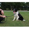 MMSGA Strong Dog Leash for Medium Large Dogs Heavy Duty，5