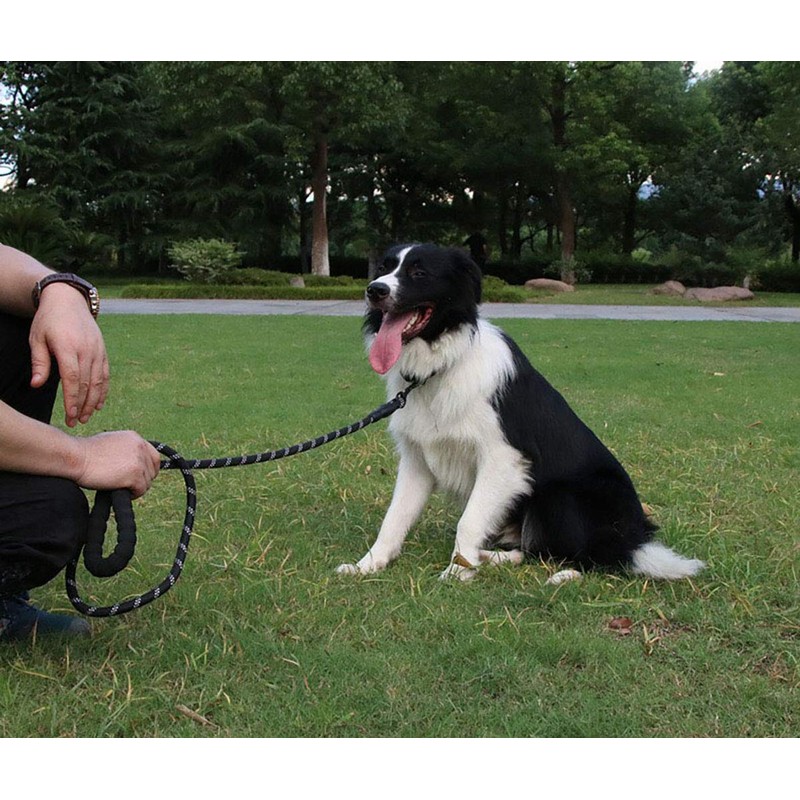 MMSGA Strong Dog Leash for Medium Large Dogs Heavy Duty，5