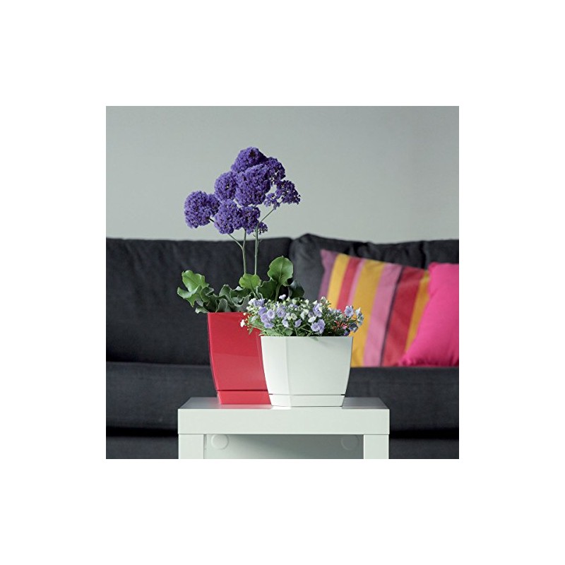 Prosper Plast DUKP120-S449 12 x 12 x 11cm Coubi Flowerpot