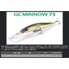 Issei G.C. Minnow 75MR-SP #05 Wakasagi