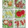 Cinnamon CMC392 Bush Blooms Drink Coasters