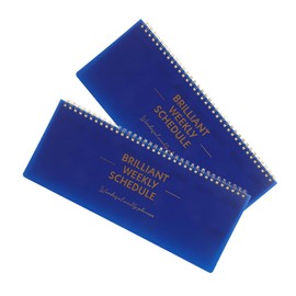 CAXUSD 2pcs Compact Horizontal Weekly Planner Notepad with Tear-Off Pages for Daily Goals and Appointments Family-Friendly -Friendly Blue