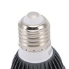 Turtle Basking Light Bulb UVA UVB Concave and Convex Mirror