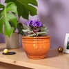 Dphagesy African Violet Pots Self Watering Round Ceramic Violet Pot
