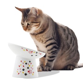 Necoichi Extra Wide Raised Cat Food Bowl, Elevated Cat Bowls to Prevent Neck & Whisker Fatigue, Dishwasher and Microwave Safe, No.1 Seller in Japan! (Sakura Limited Edition, Extra Wide Tilted)