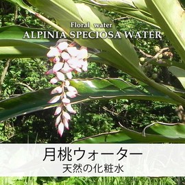 Natural Cosmetics Laboratory, 100% undiluted solution, Moon Peach Water, Floral Water, 3.4 fl oz (100 ml)