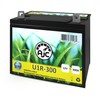 AJC Battery Compatible with Rally 1238 Riding U1R Lawn Mower