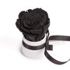 ROSEMARIE SCHULZ Heidelberg Small Rose Box White Round Infinity Rose