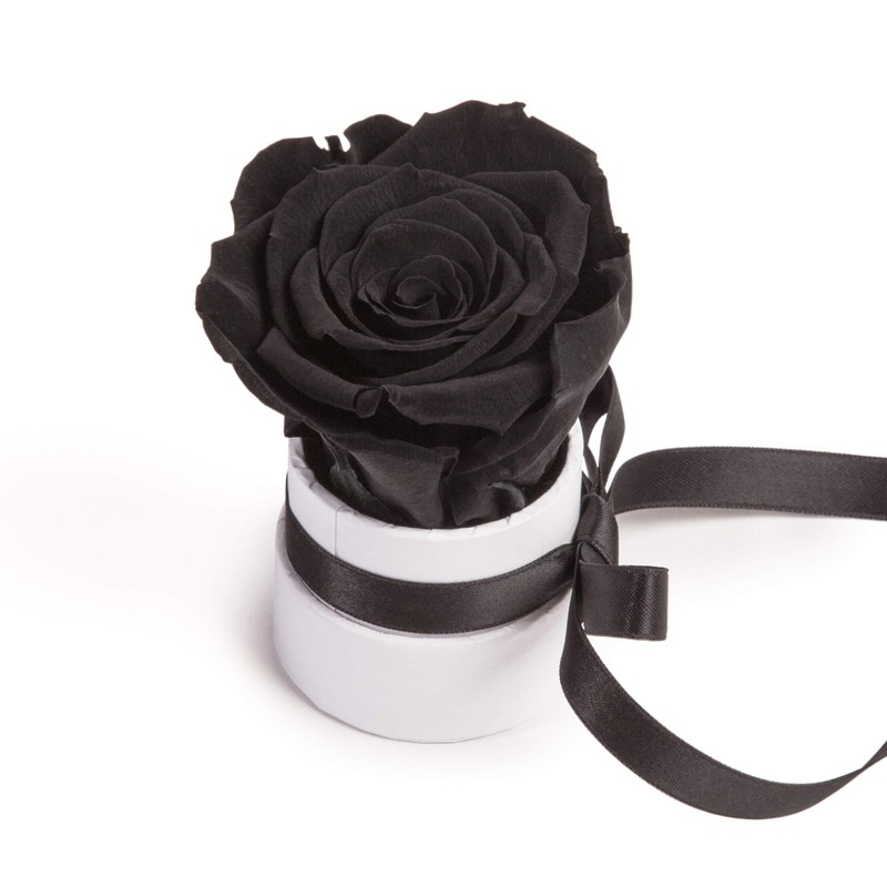 ROSEMARIE SCHULZ Heidelberg Small Rose Box White Round Infinity Rose