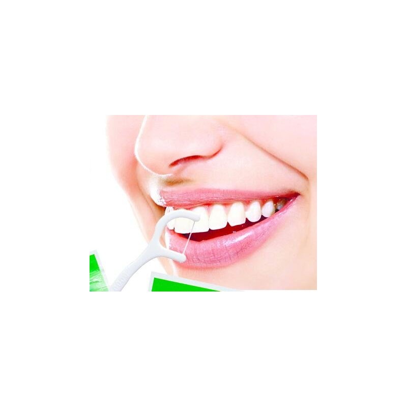 VNDEFUL 100Pcs(5 Packets ) White Dental Floss Picks Toothpicks Stick