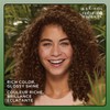 Clairol Natural Instincts Demi-Permanent Hair Dye, 6A Light Cool Brown
