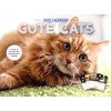 Cute Cat Calendar 2025
