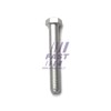 Fast FT13349 - Bearing Leaf Spring