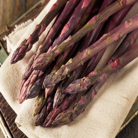 Purple Pacific 50 Live asparagus bare root plants -2yr-crowns from Hand Picked Nursery