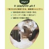 O SKIN & HAIR Shampoo Treatment 7ml Home System Kit