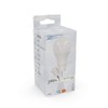 LED's light 2900062 Renovation Lamp with Plug-In Terminal 10 W