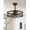 LEDIARY LEDIARY 20 inch Fandelier Caged Ceiling Fan with Light,