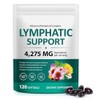 Lymphatic Drainage Supplement 120PCS, 21 in 1 Lymphatic Drainage Capsules,