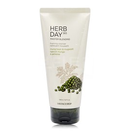 The Face Shop Herb Day 365 Cleansing Foam 170ml Mung Bean & Mugwort / 더페이스샵 허브데이 365 클렌징폼 170ml 녹두앤쑥