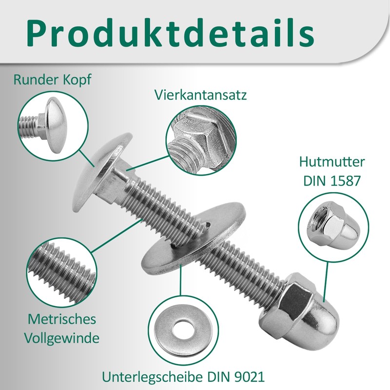 DSM – Schlossschrauben M6 x 55 mm nach DIN 603