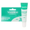 (3ea) Foodaholic Vaseline Moisture Lip Balm Mint Scent 12ml /