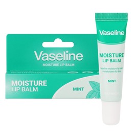 (3ea) Foodaholic Vaseline Moisture Lip Balm Mint Scent 12ml / (3개)푸드어홀릭 바세린 모이스처 립밤 민트향 12ml