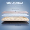 blunique Cooling Dog Bed Large Sized for Summer, Q-Max >0.45