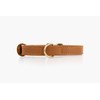 Two Tails Pet Company Cactus Leather Dog Collar - Eco-Friendly,