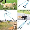 3 in 1 Durable Nylon Dog Leash with Padded Handle,