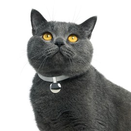 BuddyArmor Safety Cat Collar Gem Tag Set,- U.S. IDA Gold Awarding Quick Release Cat Collar Non Breakaway Elastic Light Weight Cat Collar with Charm Cat Collar Jewelry (Gold)