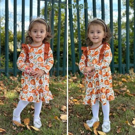18-24 Months Baby Girl Long Sleeve Fall Autumn Floral Wildflower Pumpkin Thanksgiving Dress