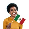 25 Packs Small Mexico Flags on Handheld Stick，Miniature Mexican Flag