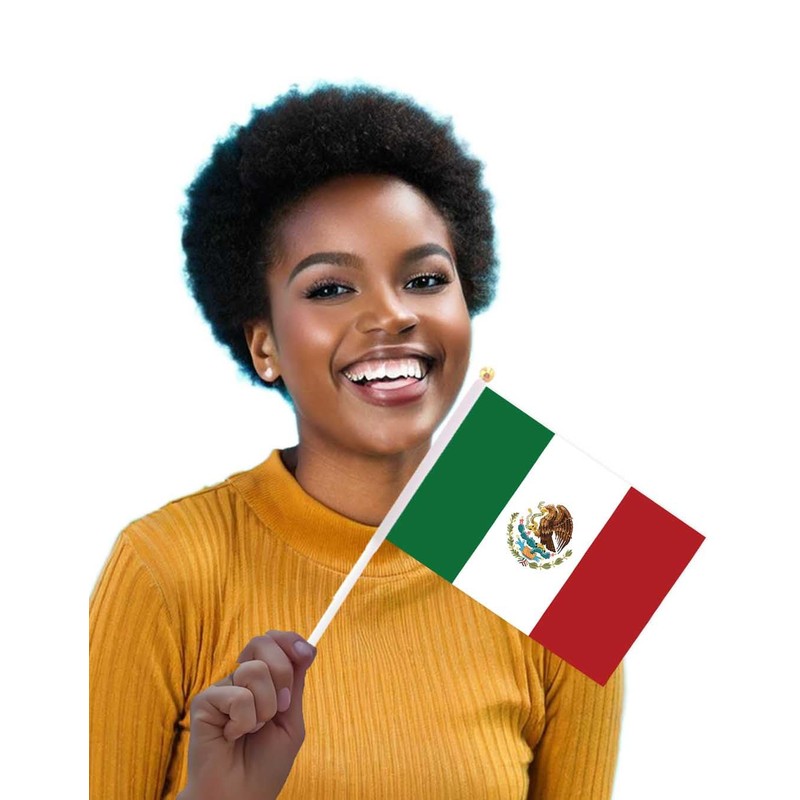 25 Packs Small Mexico Flags on Handheld Stick，Miniature Mexican Flag