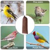 Weewooday 6 Pieces Finch Sock Feeder, Thistle Seed Sock Bird
