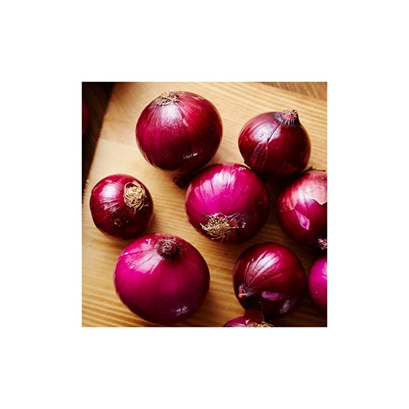 Everwilde Farms - 1 Oz Ruby Red Onion Seeds -