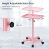 Salon Cart Tray Tattoo Tray for Hair Stylist Salon Trolley