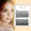 QUEWEL Lash Clusters 240Pcs Individual Lashes 40D+50D D Curl 8-14mm