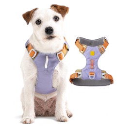 Woolly Wolf Alpha 360 Dog Harness XS Lavender Mix - Dog Harness for Small Dogs Made of 100% Recycled Polyester, Adjustable and Lightweight, Perfectly Adjustable to the Dog Body