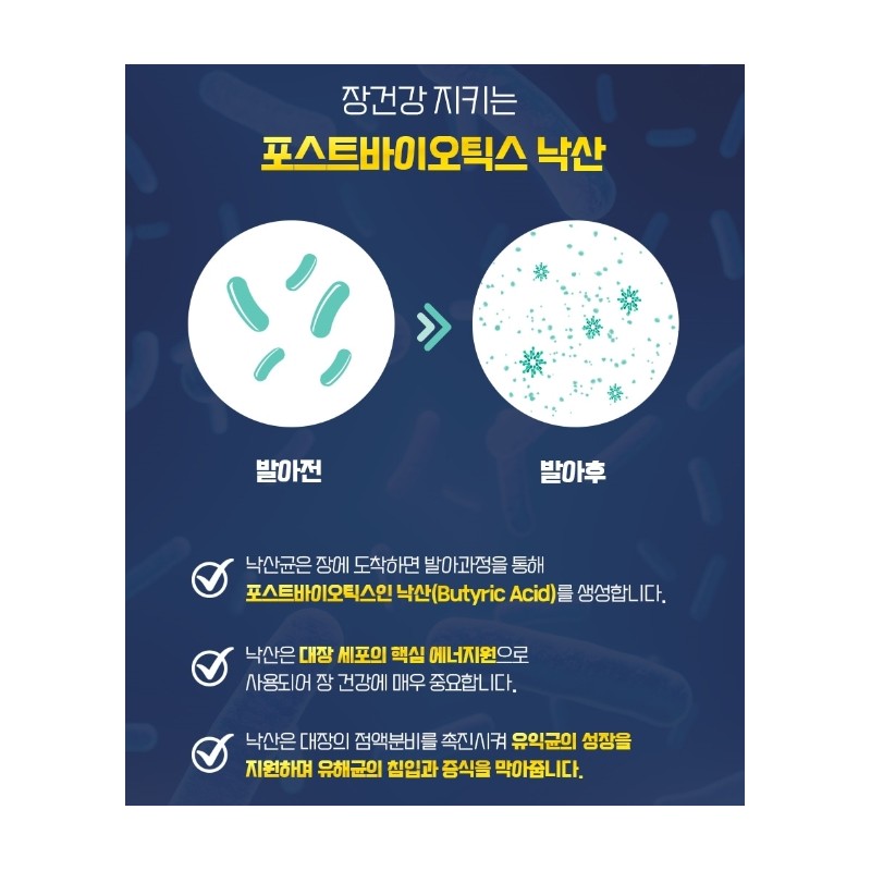 Butyric acid effect probiotics Butyric acid lactic acid bacteria 30
