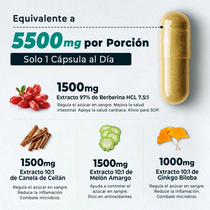 Dn 4 En 1 Berberina Suplemento 1500mg, 60 Cápsulas
