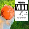 Mozi Sports Wind Cricket Balls - Indoor & Outdoor Soft