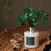 Cocorrína Reed Diffuser Sets- Eucalyptus & Moss Scented Diffuser with
