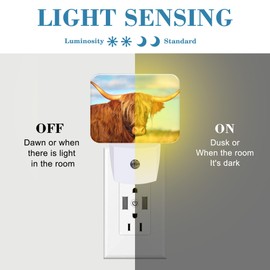 Uiaoiais Highland Cow in Field Night Light Plug into Wall, Cool Highland Cow Night Light with Dusk to Dawn Sensor for Kid Girls Boys Women Men Bedroom, Hallway, Kitchen, Bathroom, Stairs Decor