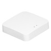 Intelligent Wireless Gateway Hub WiFi 802.11 B/g/n AI Voice Control