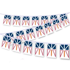20 PCS Newfoundland and Labrador Flag String,32 FT Canada NL Bunting,Decoration Banner for Outdoor Indoor Patio Yard Decor