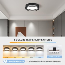 ONESMING Modern Dimmable Black Flush Mount Ceiling Light, Modern LED Light Fixture, Ceiling Lamp for Laundry Room Kitchen Bedroom 2700 K - 6000 K 5CCT 11.8 in