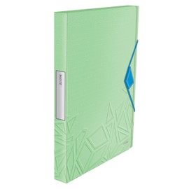 Leitz Box File, Holds up to 250 A4 Sheets, Elastic Closure, Flexible Plastic, Green, Urban Chic Range, 39480050