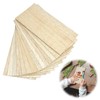 12-Pack Balsa Wood Sheets 200x100x1mm Lightweight Craft Balsa Wood Thin