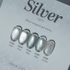 classic nail From the Nail Magnet Gel Silver + 30